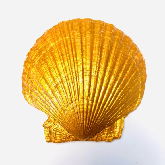 Handcrafted Shell Ring Dish With Pickleball Decoupage Design - Picture 4 of 4